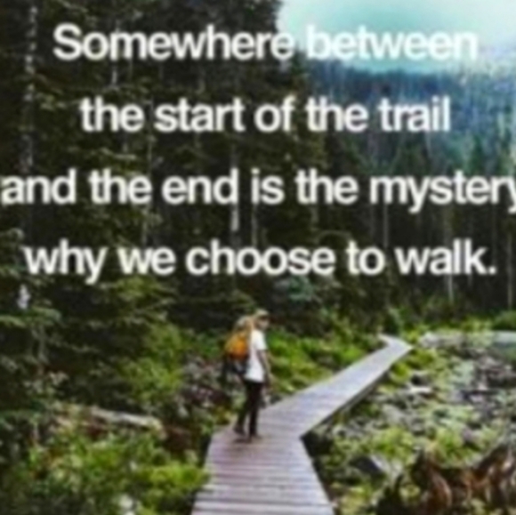 ⚜️ Vintage Needlepoint Victorian Green Pillow Luxurious - Picture 13 of 16